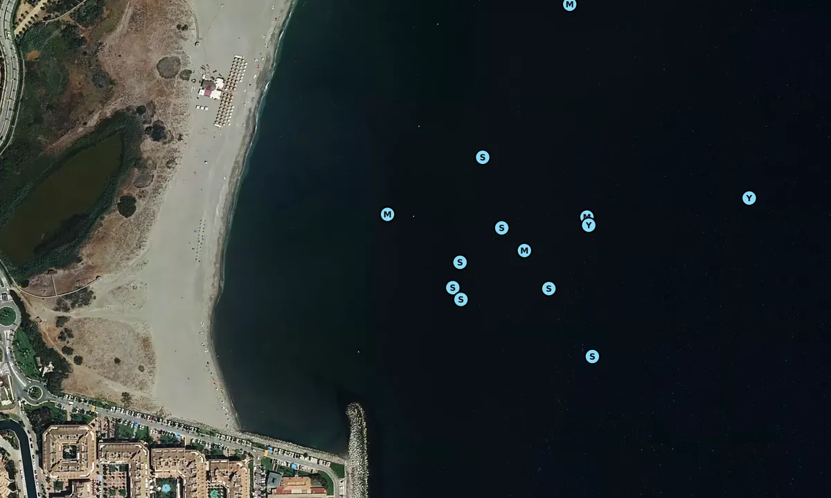 Satelite image of Sotogrande
