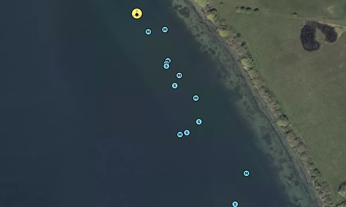 Satelite image of Sottrup Skov bouy