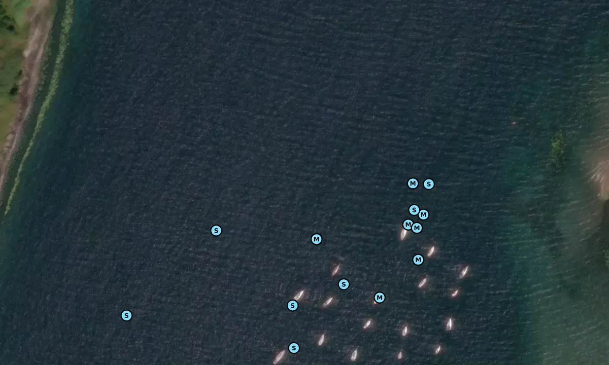Satelite image of Sound of Shuna
