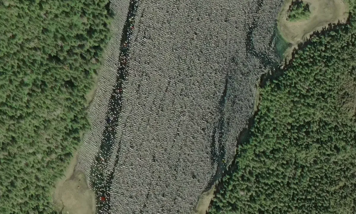 Satelite image of South Arm - Alaska