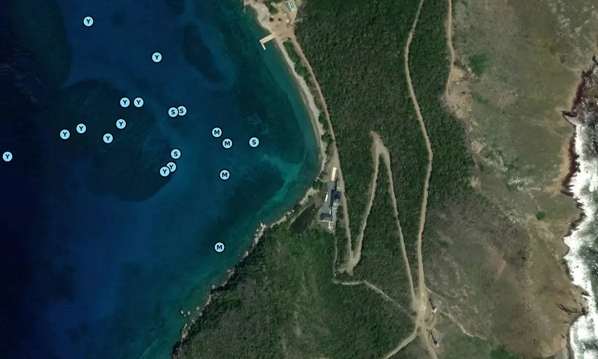 Satelite image of South Bay 1