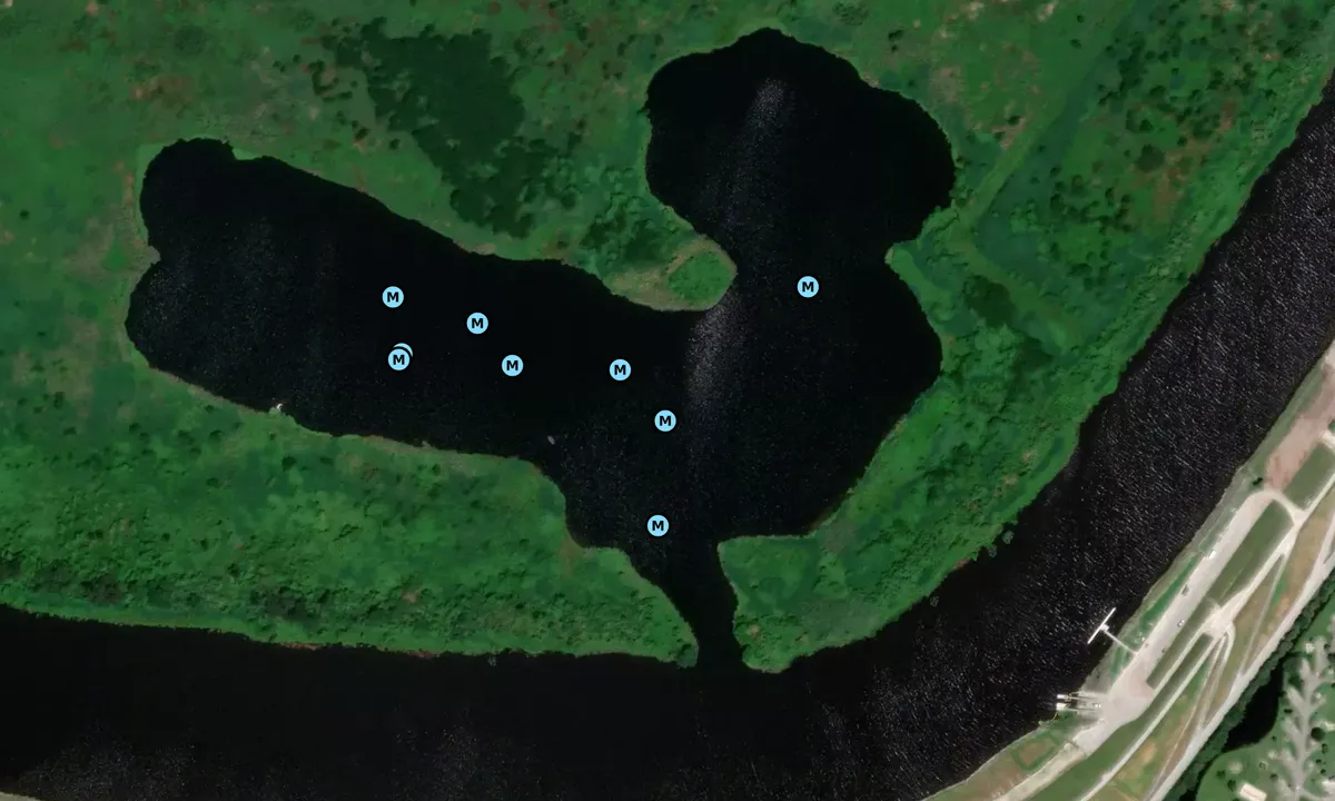 Satelite image of South Bay