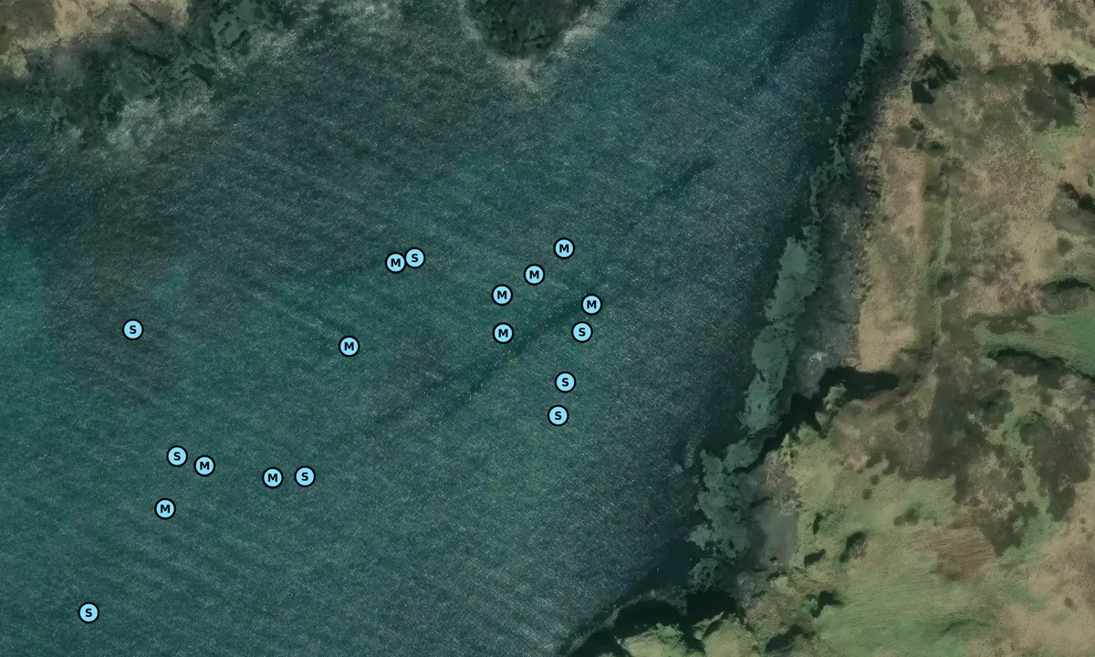 Satelite image of South Bay, Eigg