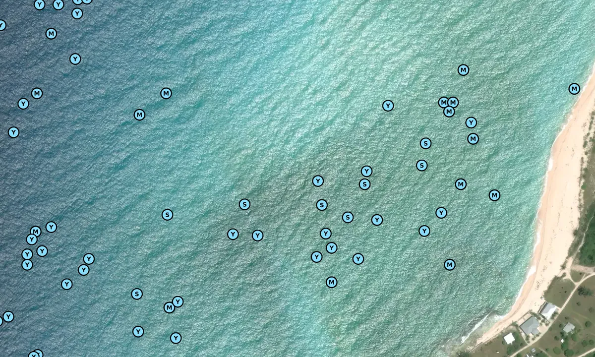 Satelite image of South Bimini (west)