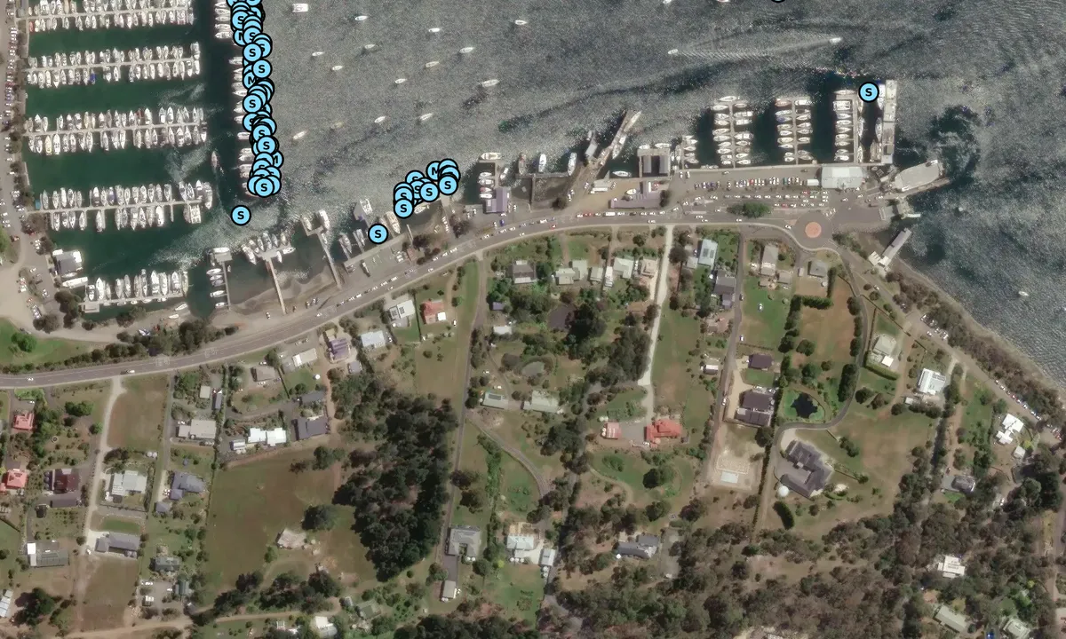 Satelite image of South Haven Marina