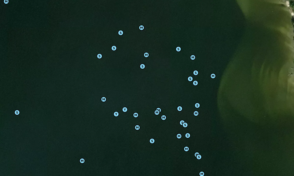 Satelite image of South River - 1