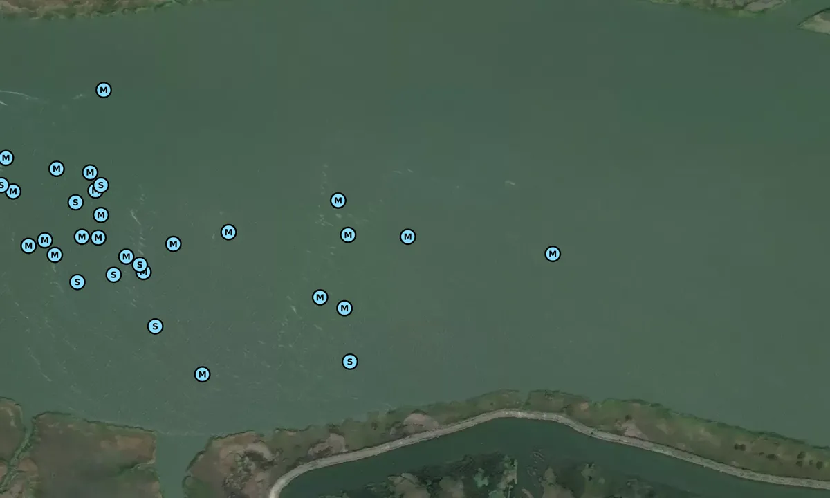 Satelite image of South Santee River - 1