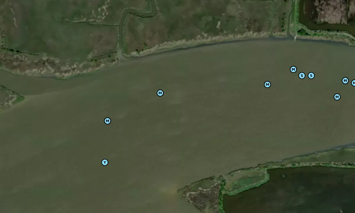 Satelite image of South Santee River - 3