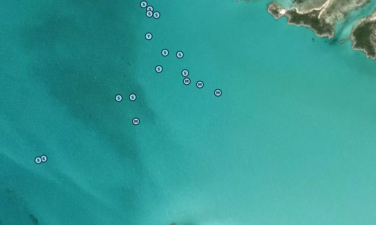 Satelite image of South Shroud Cay