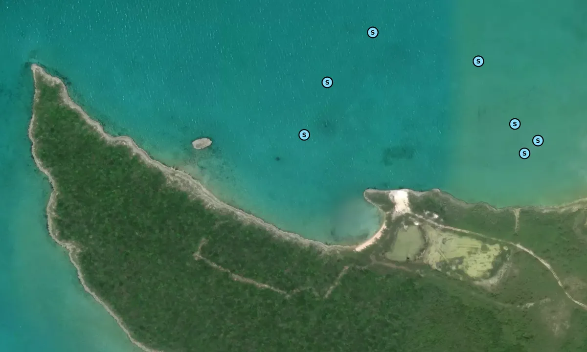 Satelite image of South Side