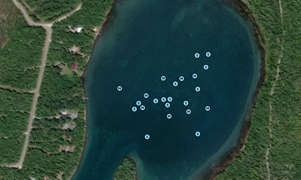 Satelite image of South St Johns Cove