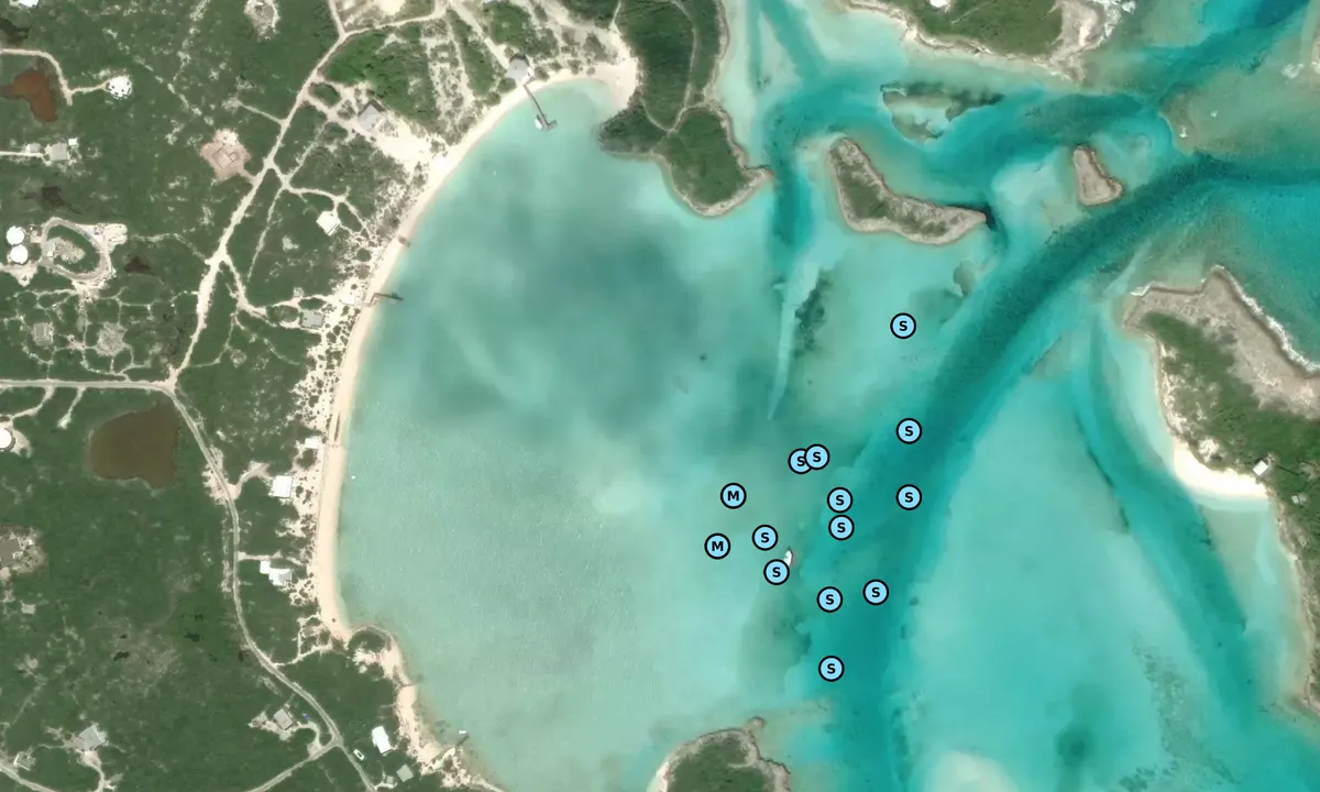 Satelite image of South Staniel Cay