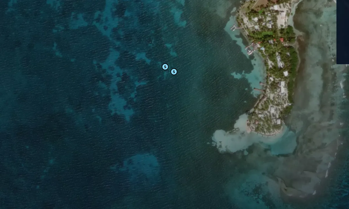 Satelite image of South Water Cay