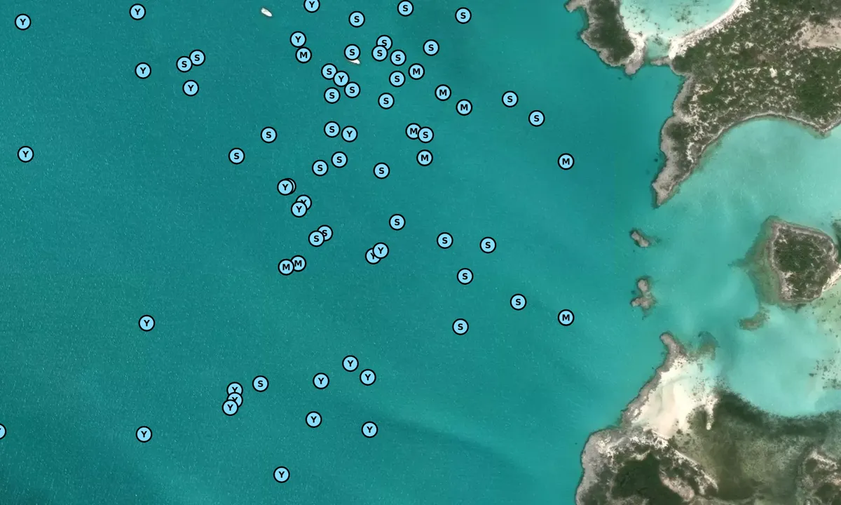 Satelite image of Southwest Shroud Cay