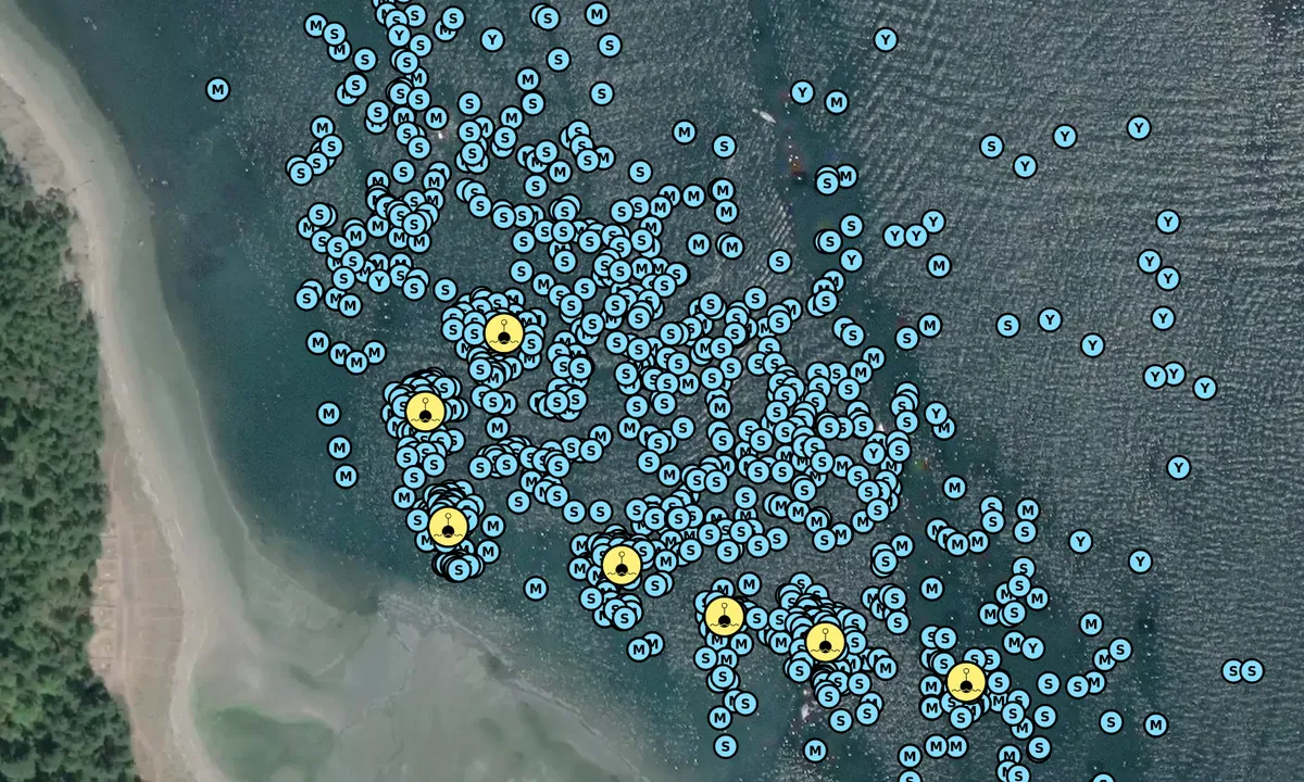 Satelite image of Spencer Spit - North