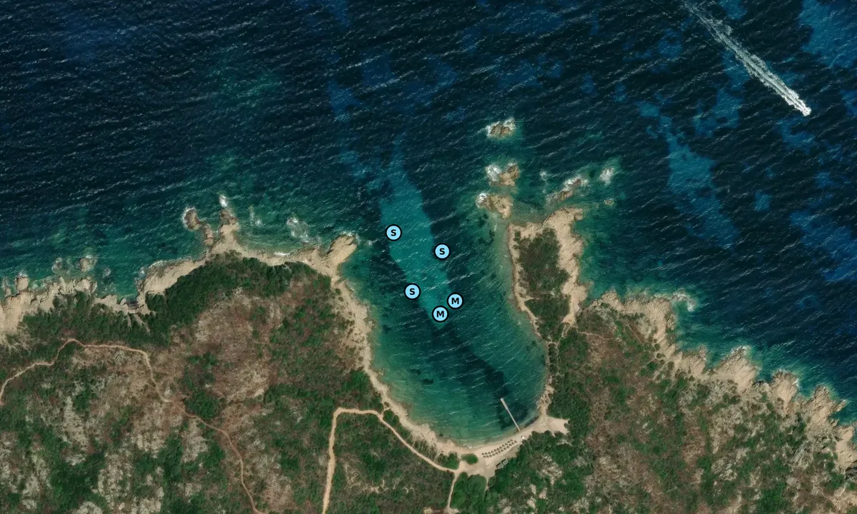 Satelite image of Spiaggia del Cervo