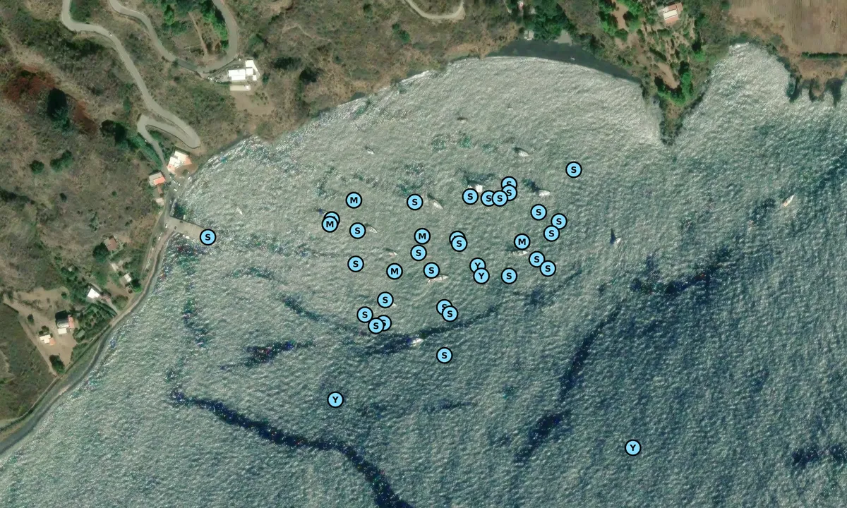 Satelite image of Spiaggia dell'Asino