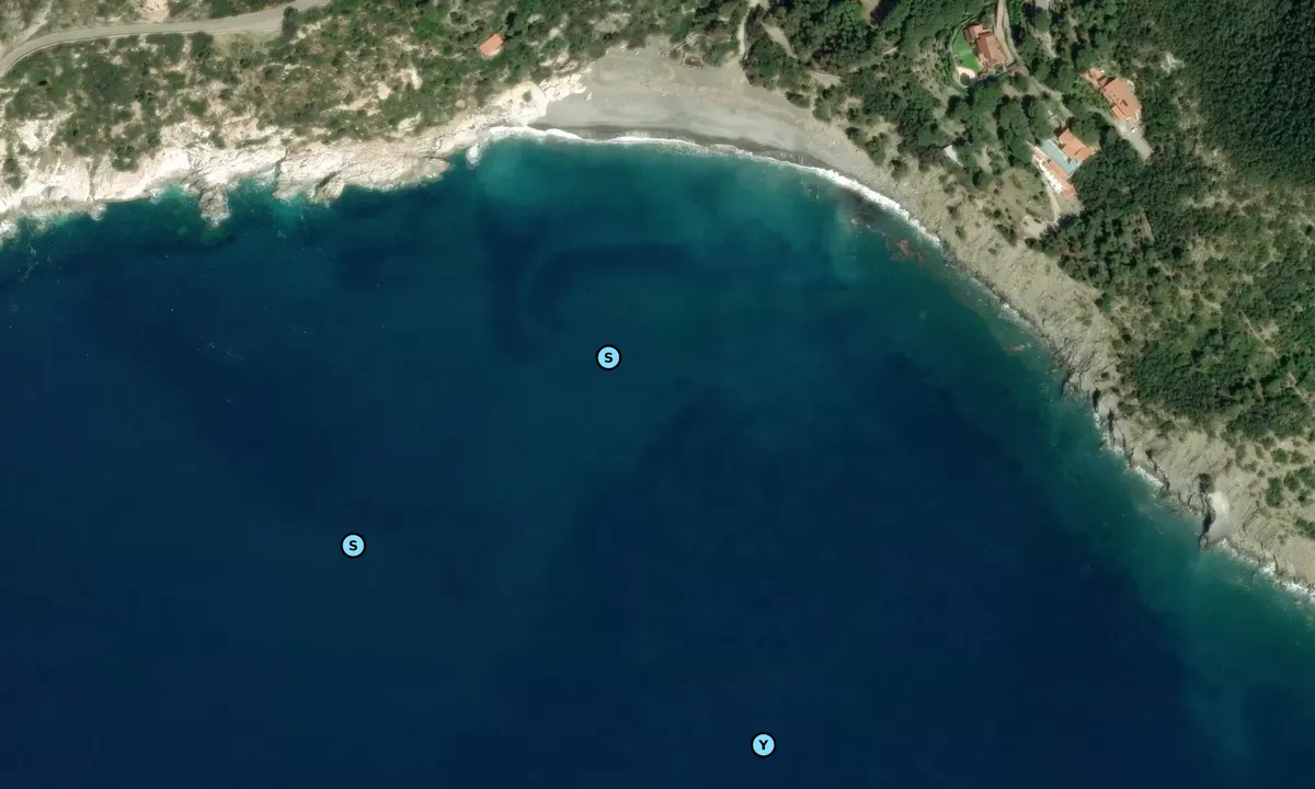 Satelite image of Spiaggia di Colle Palombaia