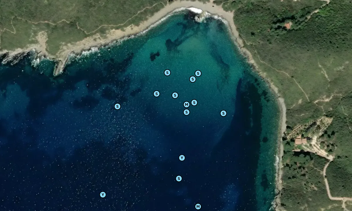 Satelite image of Spiaggia di Fonza