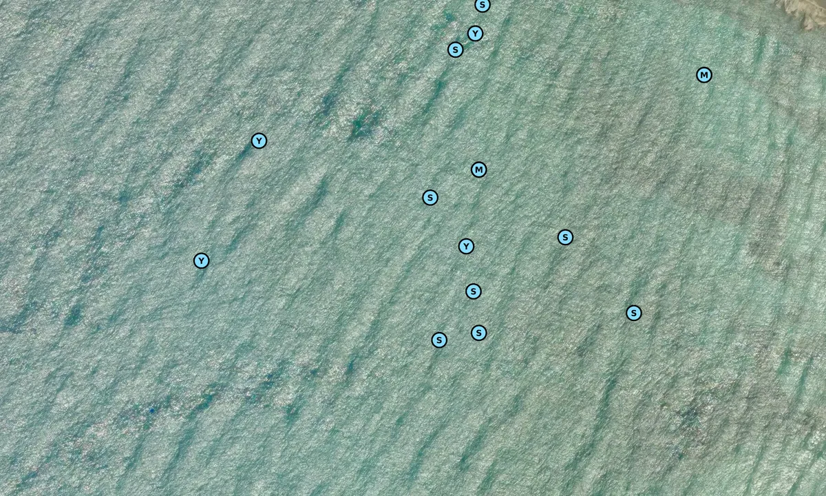 Satelite image of Spiaggia Rena Majori