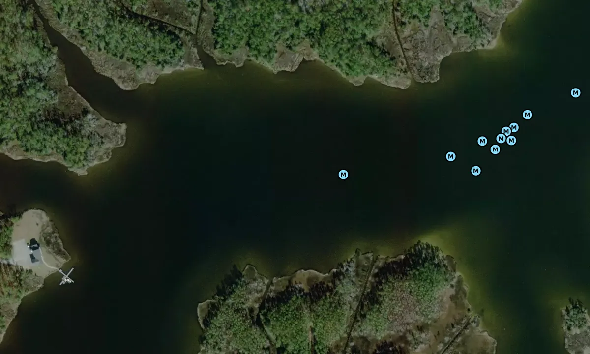 Satelite image of Spring Creek - 2