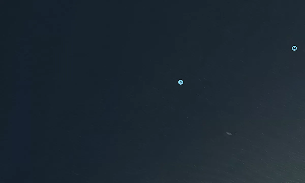 Satelite image of Spurn Point