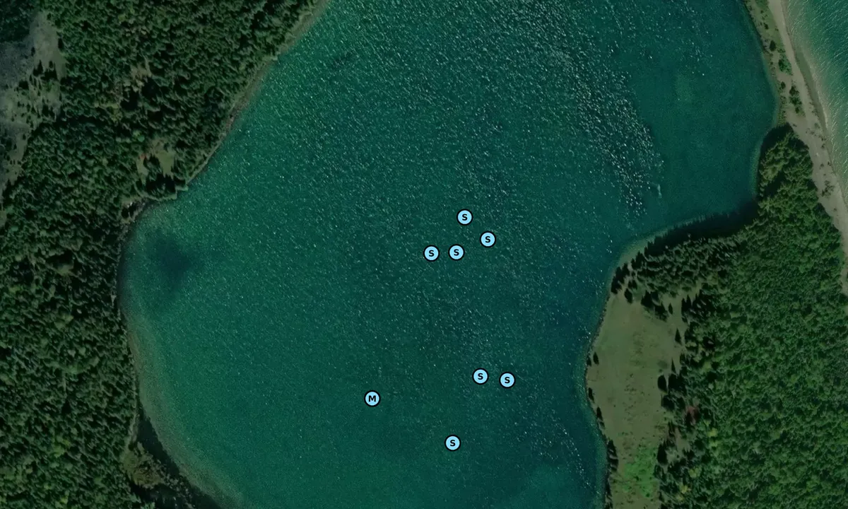Satelite image of Squaw Island - Wikwemikong
