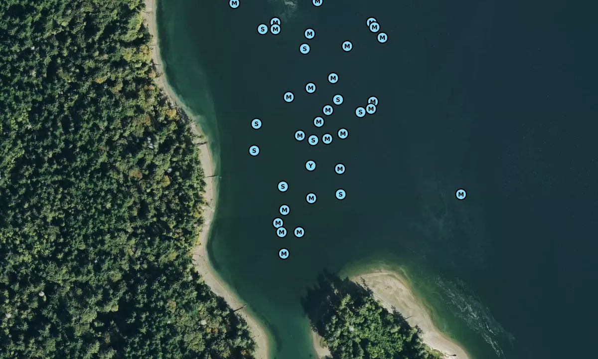 Satelite image of Squaxin Island - Coon Cove