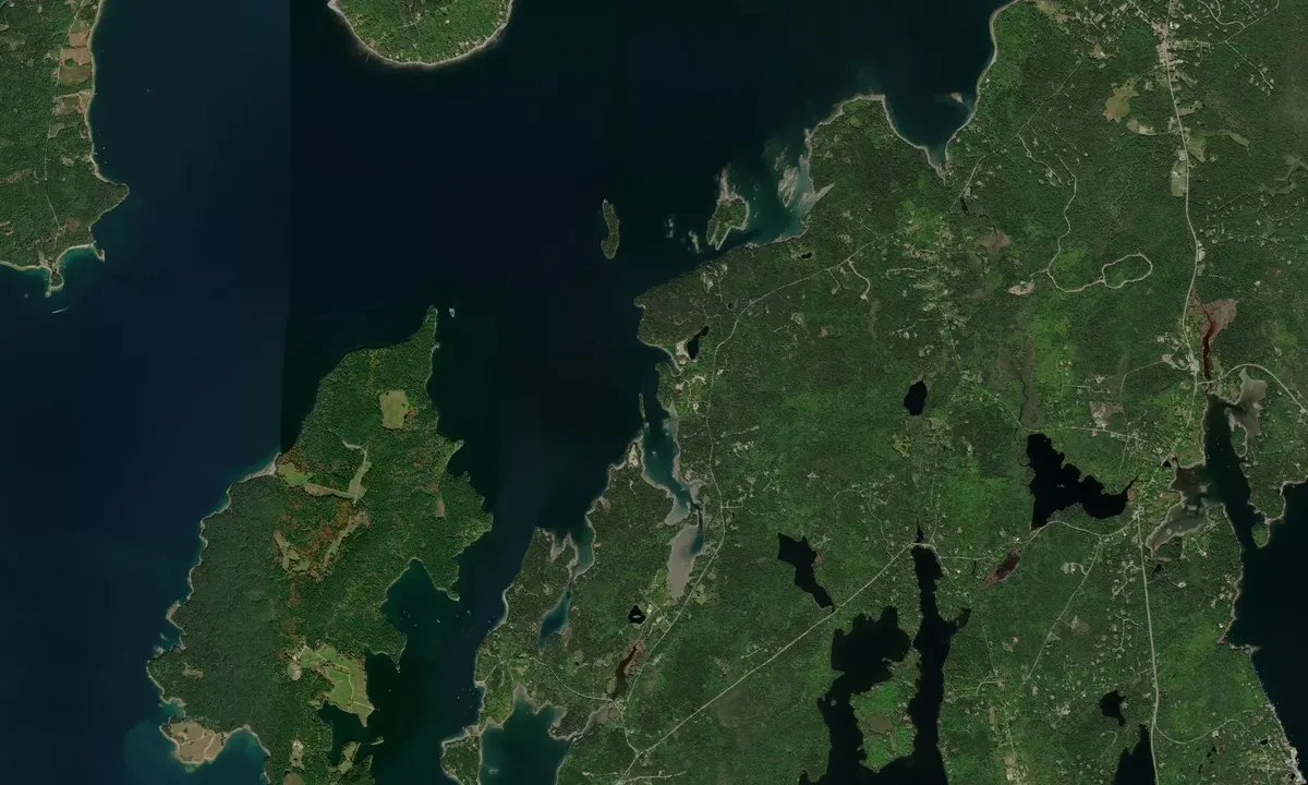 Flyfoto av Squid Cove