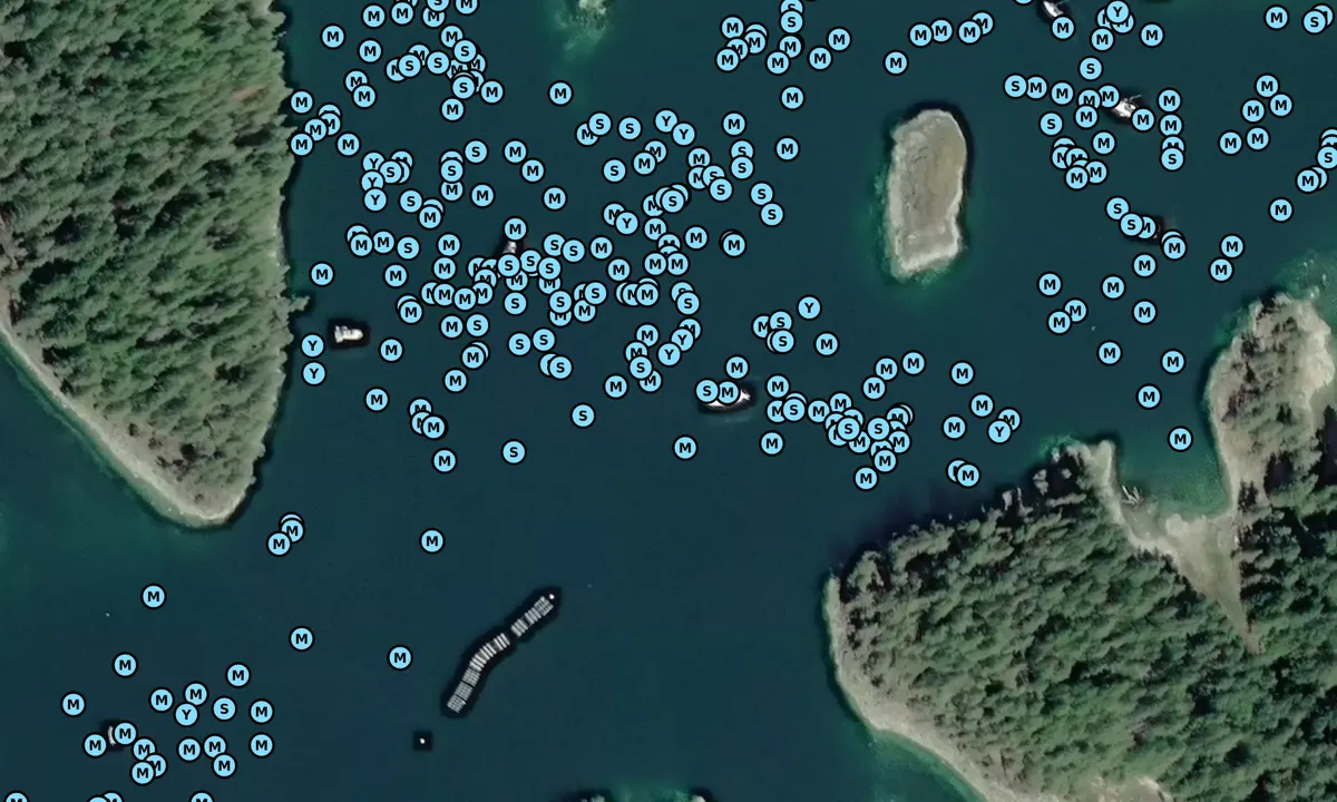 Satelite image of Squirrel Cove
