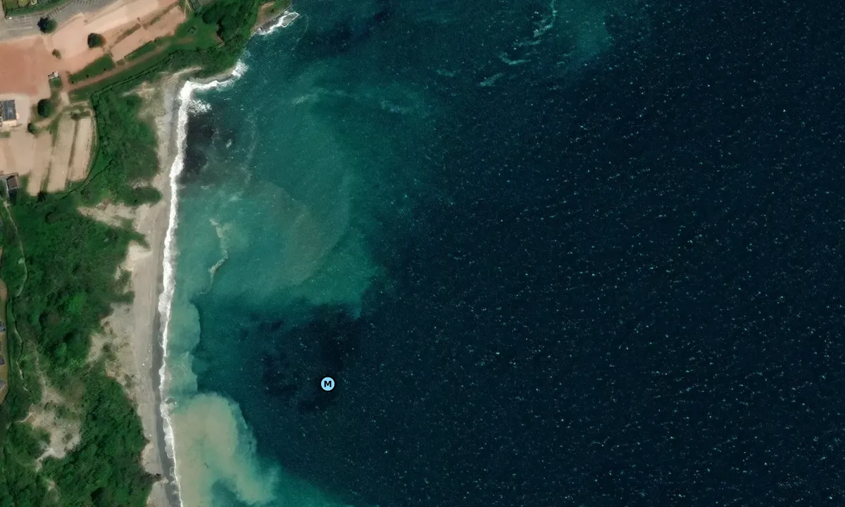 Satelite image of St Mary’s Bay