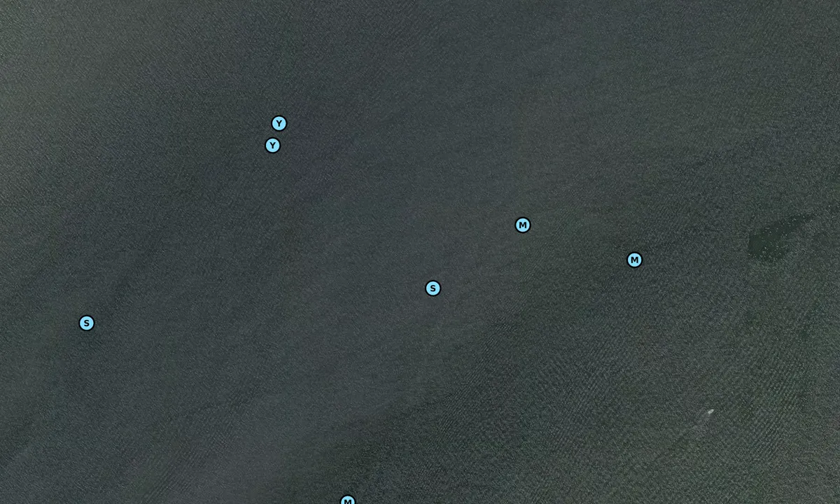 Satelite image of st simons sound