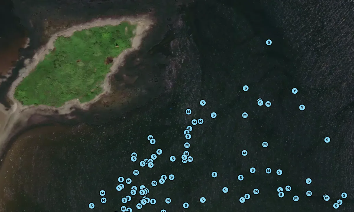 Satelite image of Stage Island 1