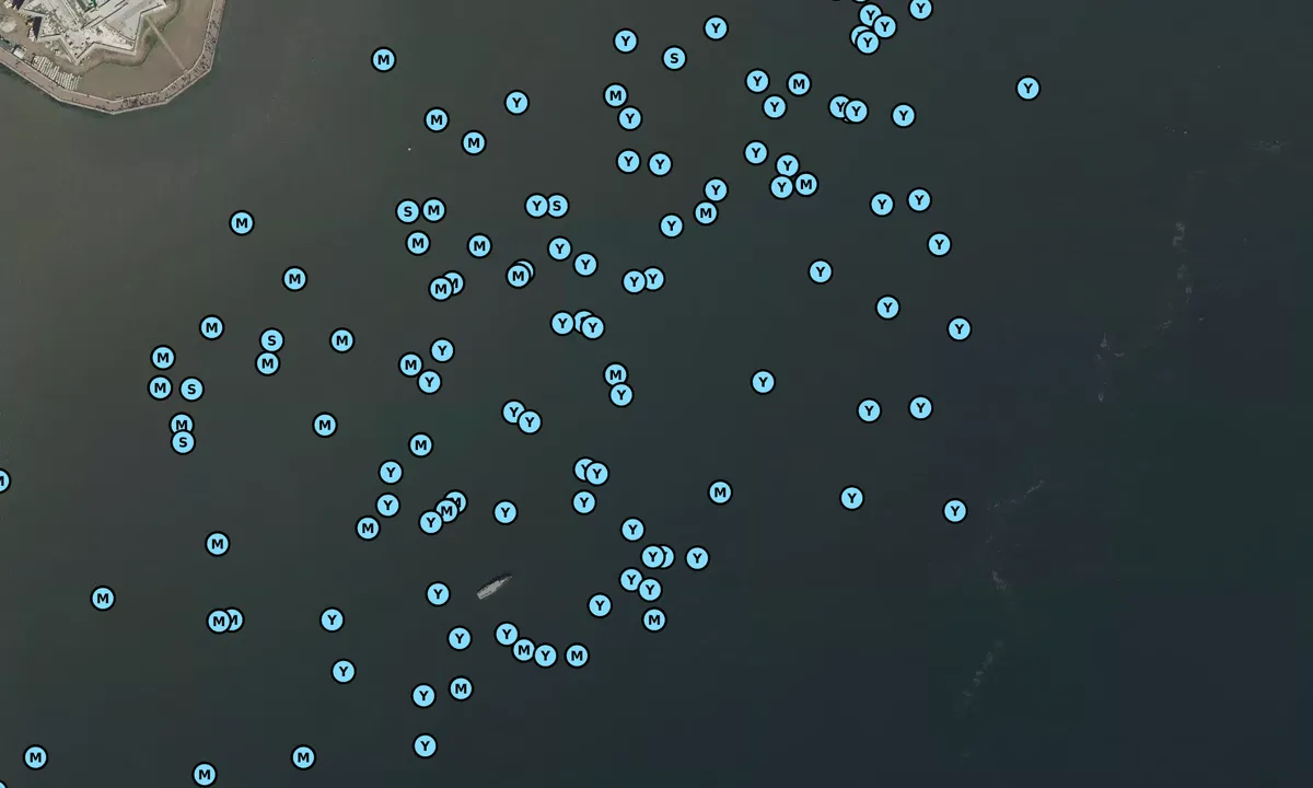 Satelite image of Statue of Liberty Anchorage