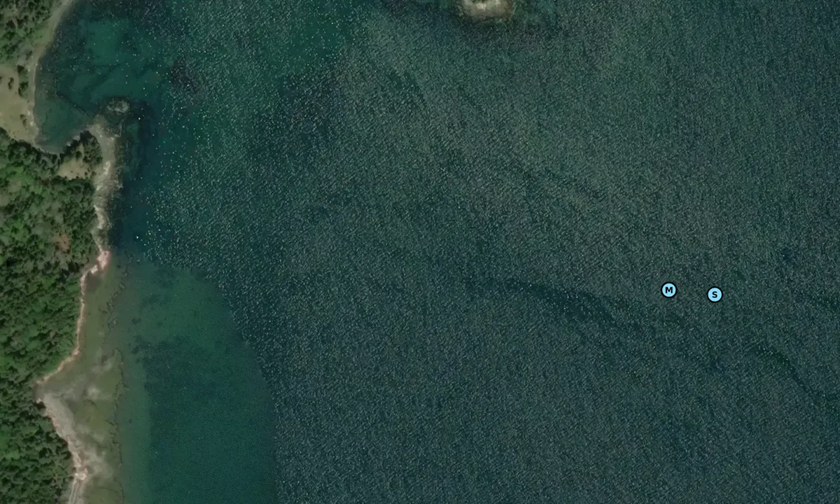 Satelite image of Stave Island 1