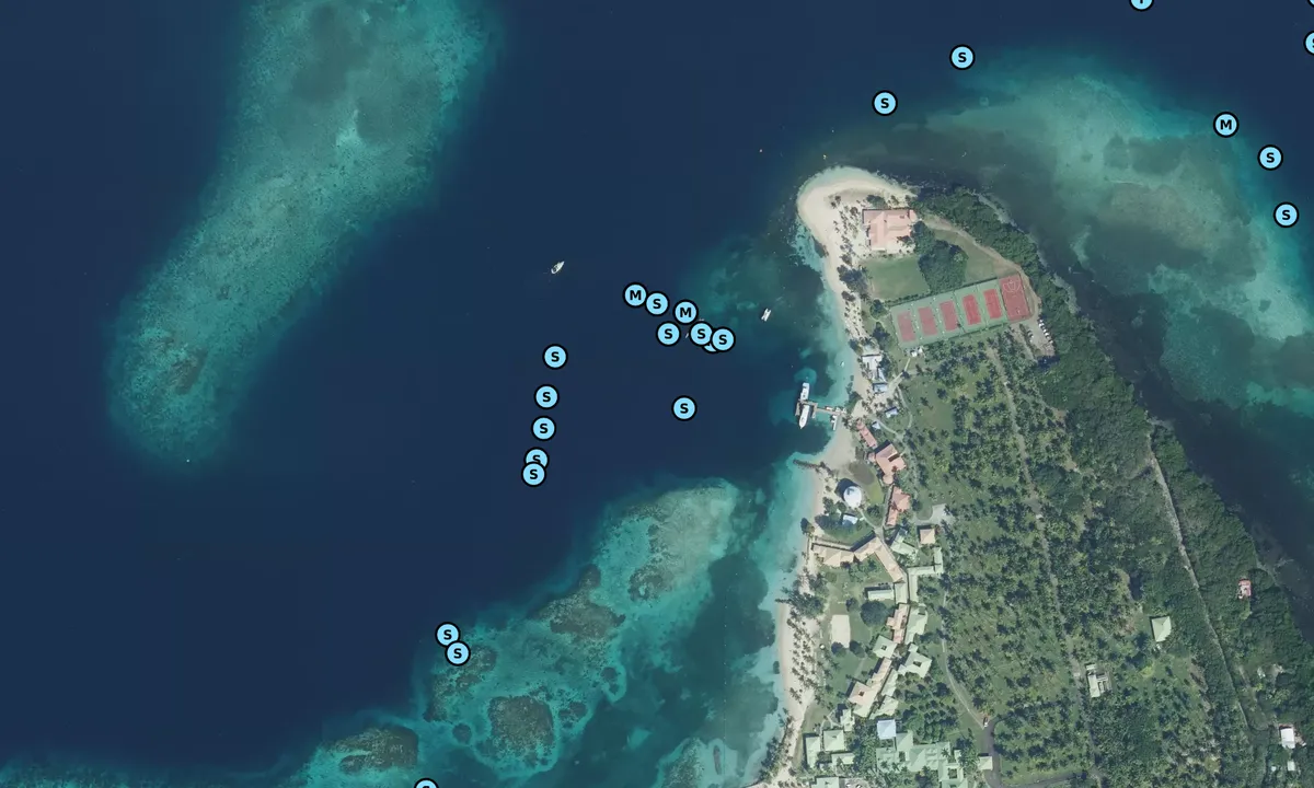 Satelite image of Ste. Anne moulage