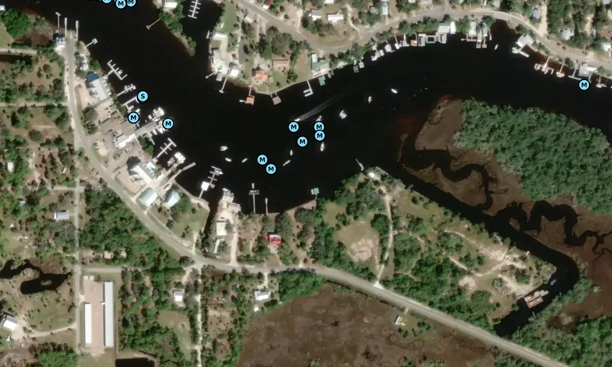 Satelite image of Steinhatchee River