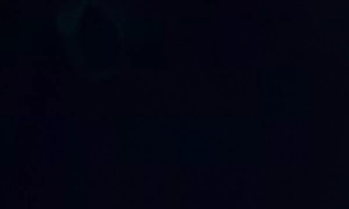 Satelite image of Steinsholmen