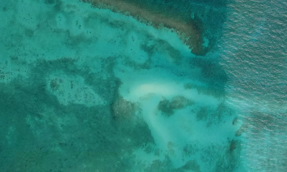 Flyfoto av Stingray City