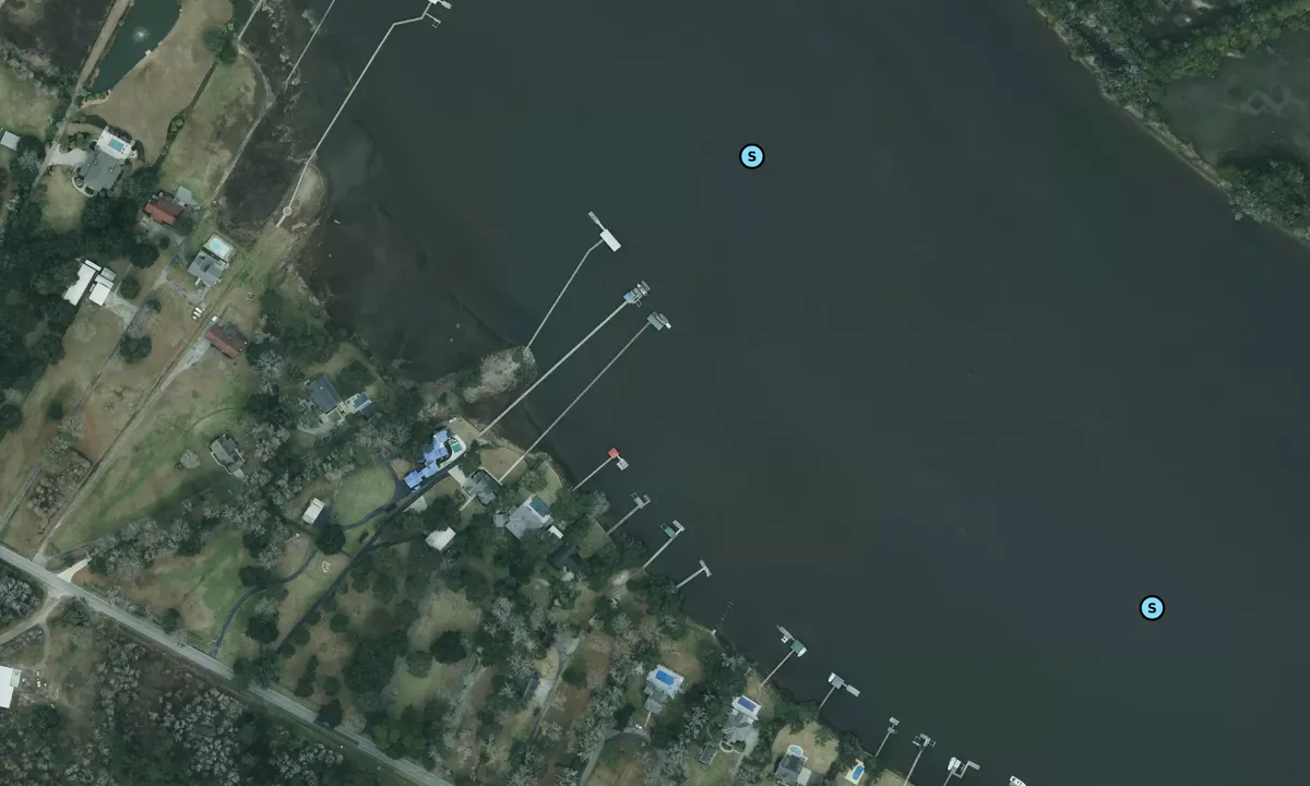 Satelite image of Stono River