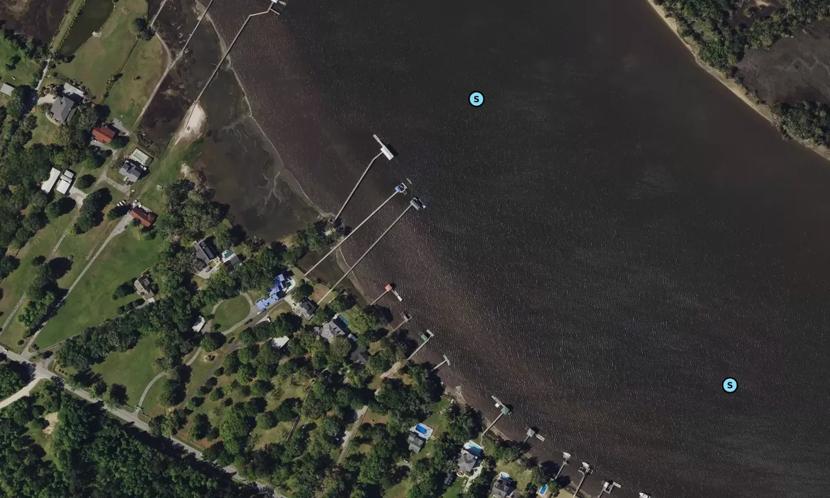 Satelite image of Stono River