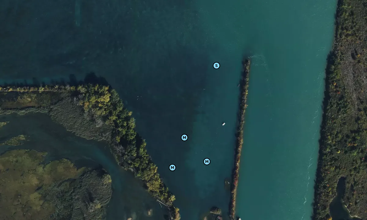 Satelite image of Stony Island Northeast
