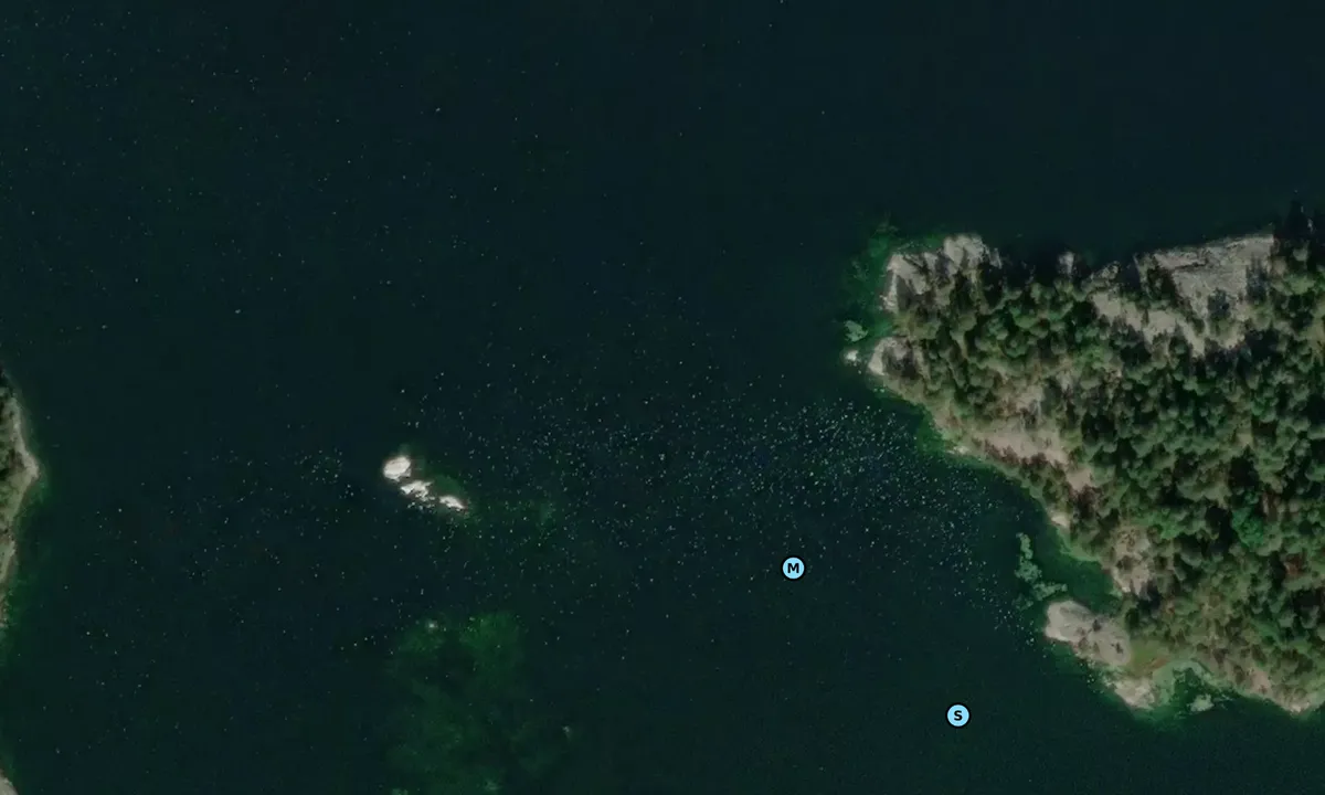 Satelite image of Stora Askö - Översö - Huvududden