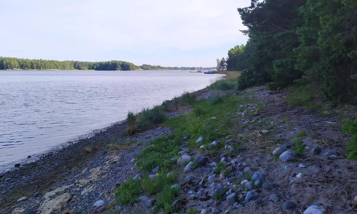 Stora brokholmen: Island view.