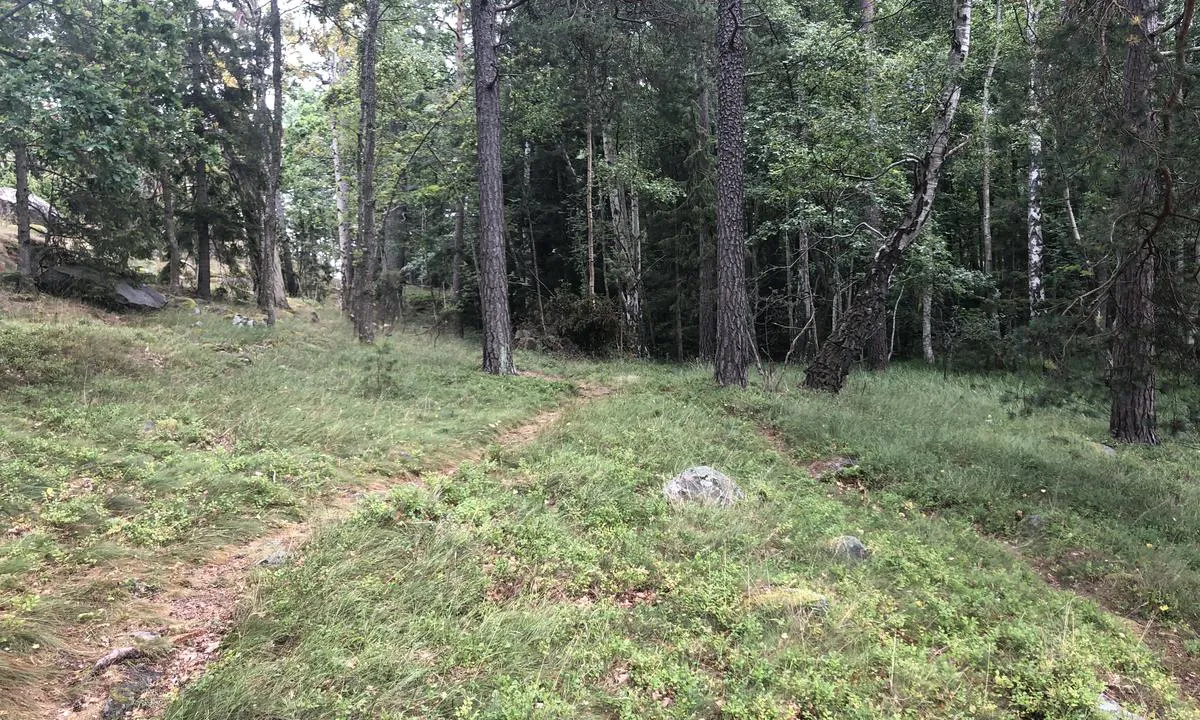 On Stora Korpmaren there are lots og trails to explore the island.