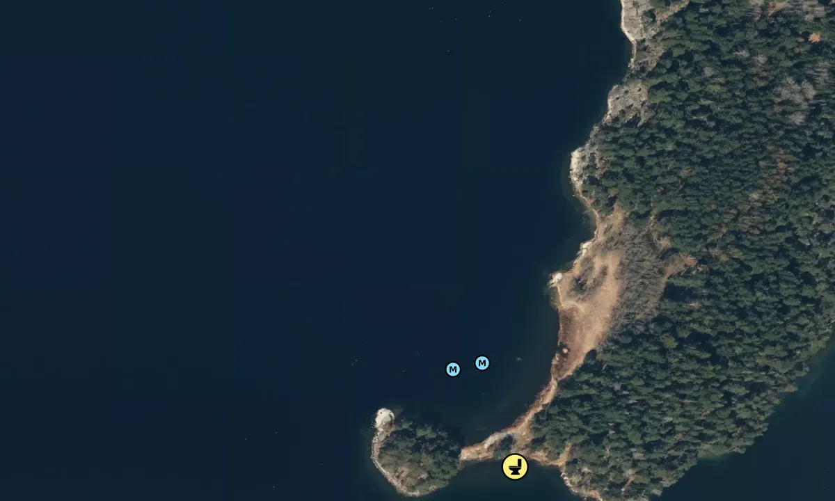 Satelite image of Stora Vassholmen