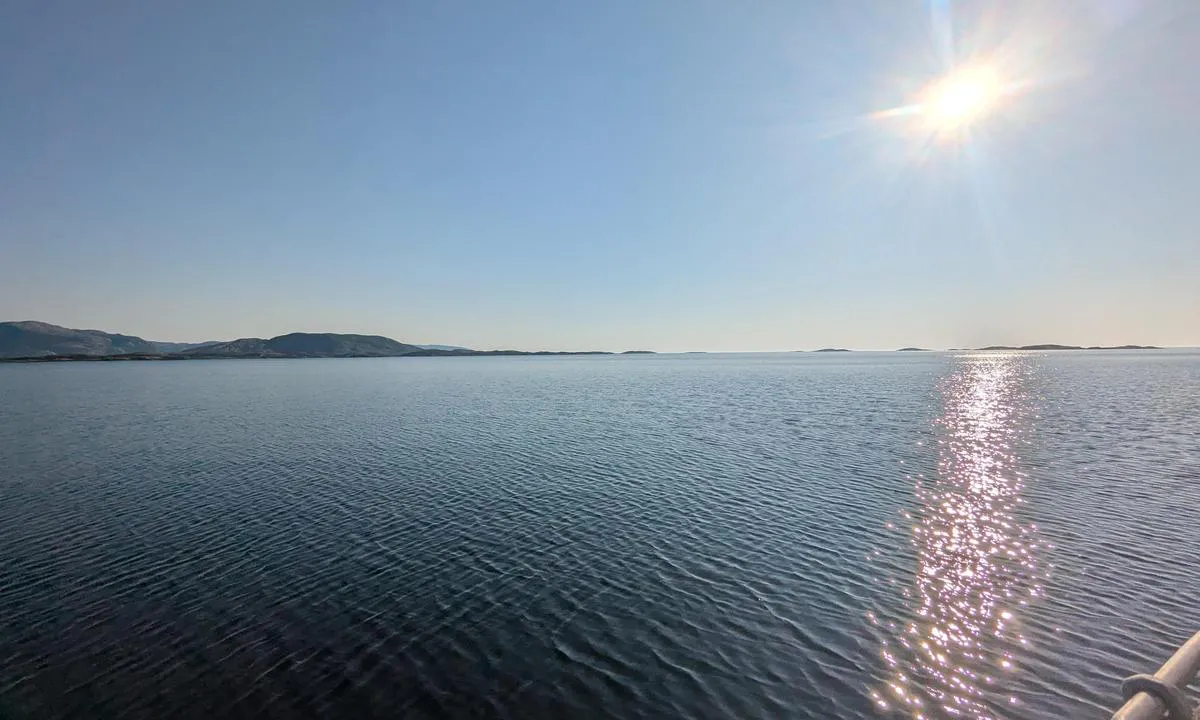 Strandskjæret