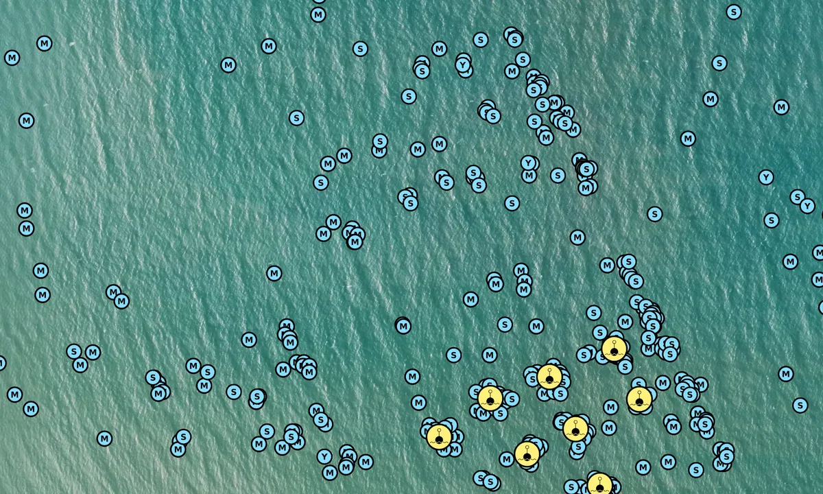 Satelite image of Studland Bay