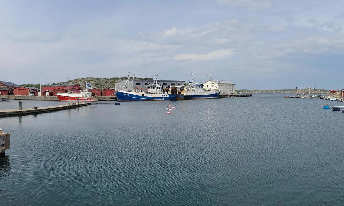 Styrsö - Sandvikshamnen: {"base": "de", "no": "Utsikt mot havneinnl\u00f8pet (til h\u00f8yre) og gjestebryggen.", "se": "Utsikt \u00f6ver hamninloppet (till h\u00f6ger) och g\u00e4stbryggan.", "en": "View of the harbor entrance (right) and the guest pier.", "da": "Udsigt over havneindsejlingen (til h\u00f8jre) og g\u00e6stebroen.", "fr": "Vue sur l'entr\u00e9e du port (\u00e0 droite) et le quai des visiteurs.", "de": "Blick auf die Hafeneinfahrt (rechts) und den G\u00e4stesteg.", "es": "Vista de la entrada del puerto (a la derecha) y el muelle de invitados.", "it": "Vista sull'ingresso del porto (a destra) e sul pontile per gli ospiti.", "pt": "Vista da entrada do porto (\u00e0 direita) e do cais para visitantes.", "nl": "Uitzicht op de haveningang (rechts) en de gastensteiger.", "pl": "Widok na wej\u015bcie do portu (po prawej) i pomost dla go\u015bci.", "uk": "\u0412\u0438\u0434 \u043d\u0430 \u0432\u0445\u0456\u0434 \u0434\u043e \u0433\u0430\u0432\u0430\u043d\u0456 (\u043f\u0440\u0430\u0432\u043e\u0440\u0443\u0447) \u0442\u0430 \u0433\u043e\u0441\u0442\u044c\u043e\u0432\u0438\u0439 \u043f\u0456\u0440\u0441.", "ro": "Priveli\u0219te c\u0103tre intrarea \u00een port (dreapta) \u0219i pontonul pentru oaspe\u021bi.", "tr": "Liman giri\u015fi (sa\u011fda) ve misafir iskelesi manzaras\u0131.", "el": "\u0398\u03ad\u03b1 \u03c3\u03c4\u03b7\u03bd \u03b5\u03af\u03c3\u03bf\u03b4\u03bf \u03c4\u03bf\u03c5 \u03bb\u03b9\u03bc\u03b1\u03bd\u03b9\u03bf\u03cd (\u03b4\u03b5\u03be\u03b9\u03ac) \u03ba\u03b1\u03b9 \u03c3\u03c4\u03b7\u03bd \u03b1\u03c0\u03bf\u03b2\u03ac\u03b8\u03c1\u03b1 \u03b5\u03c0\u03b9\u03c3\u03ba\u03b5\u03c0\u03c4\u03ce\u03bd.", "cs": "Pohled na vjezd do p\u0159\u00edstavu (vpravo) a molo pro hosty.", "hu": "Kil\u00e1t\u00e1s a kik\u00f6t\u0151 bej\u00e1rat\u00e1ra (jobb oldalon) \u00e9s a vend\u00e9gm\u00f3l\u00f3ra.", "fi": "N\u00e4kym\u00e4 sataman sis\u00e4\u00e4nk\u00e4ynnille (oikealla) ja vieraslaiturille.", "bg": "\u0418\u0437\u0433\u043b\u0435\u0434 \u043a\u044a\u043c \u0432\u0445\u043e\u0434\u0430 \u043d\u0430 \u043f\u0440\u0438\u0441\u0442\u0430\u043d\u0438\u0449\u0435\u0442\u043e (\u0432\u0434\u044f\u0441\u043d\u043e) \u0438 \u043a\u0435\u044f \u0437\u0430 \u0433\u043e\u0441\u0442\u0438.", "sr": "\u041f\u043e\u0433\u043b\u0435\u0434 \u043d\u0430 \u0443\u043b\u0430\u0437 \u0443 \u043b\u0443\u043a\u0443 (\u0434\u0435\u0441\u043d\u043e) \u0438 \u043f\u0440\u0438\u0441\u0442\u0430\u043d \u0437\u0430 \u0433\u043e\u0441\u0442\u0435.", "et": "Vaade sadama sissep\u00e4\u00e4sule (paremal) ja k\u00fclaliskaile.", "lv": "Skats uz ostas ieeju (pa labi) un viesu piest\u0101tni.", "lt": "Vaizdas \u012f uosto \u012fplauk\u0105 (de\u0161in\u0117je) ir sve\u010di\u0173 prieplauk\u0105."}
