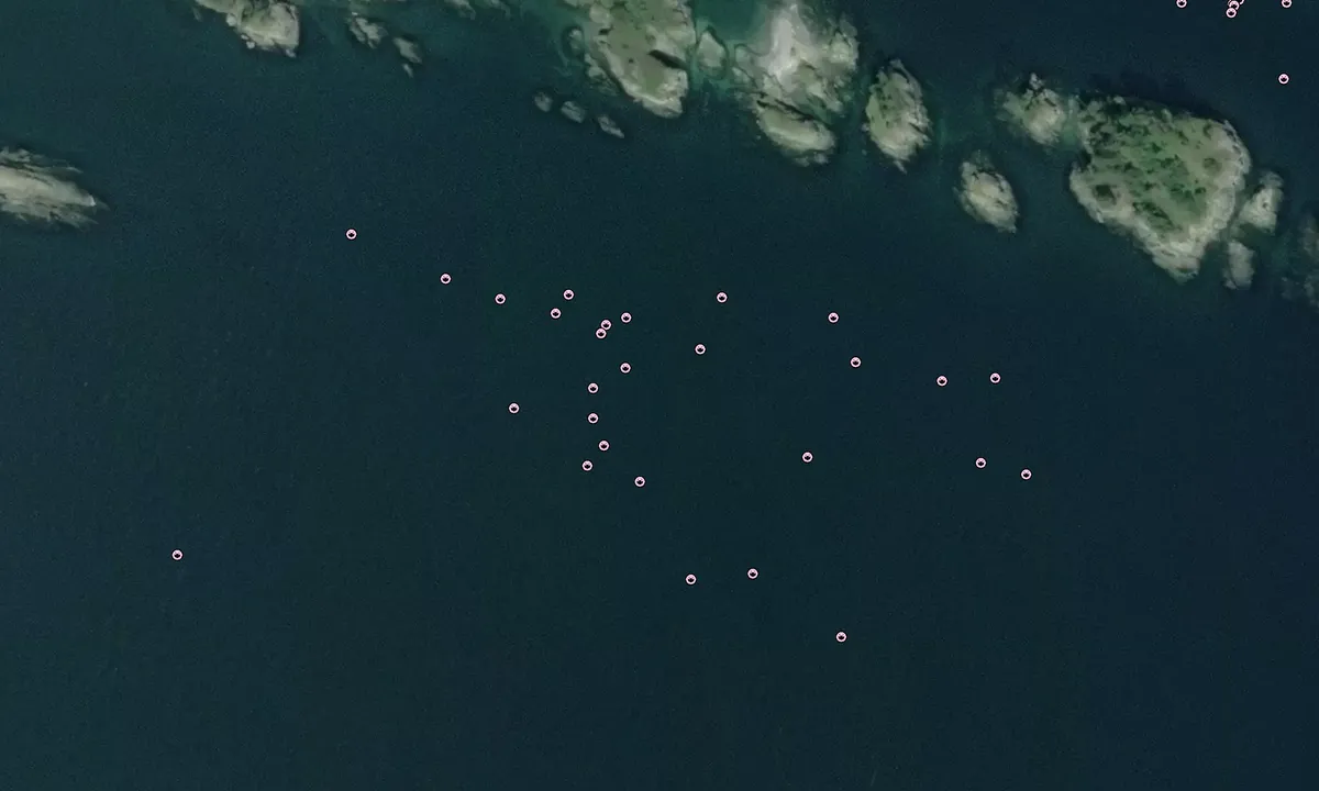 Flyfoto av Sucia Island - Cluster Island